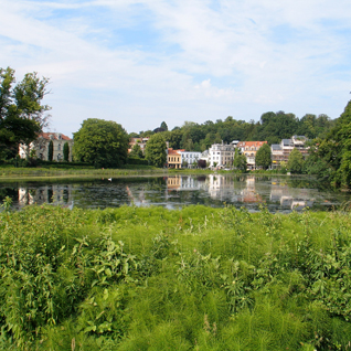 Stages enfant à Watermael Boitsfort